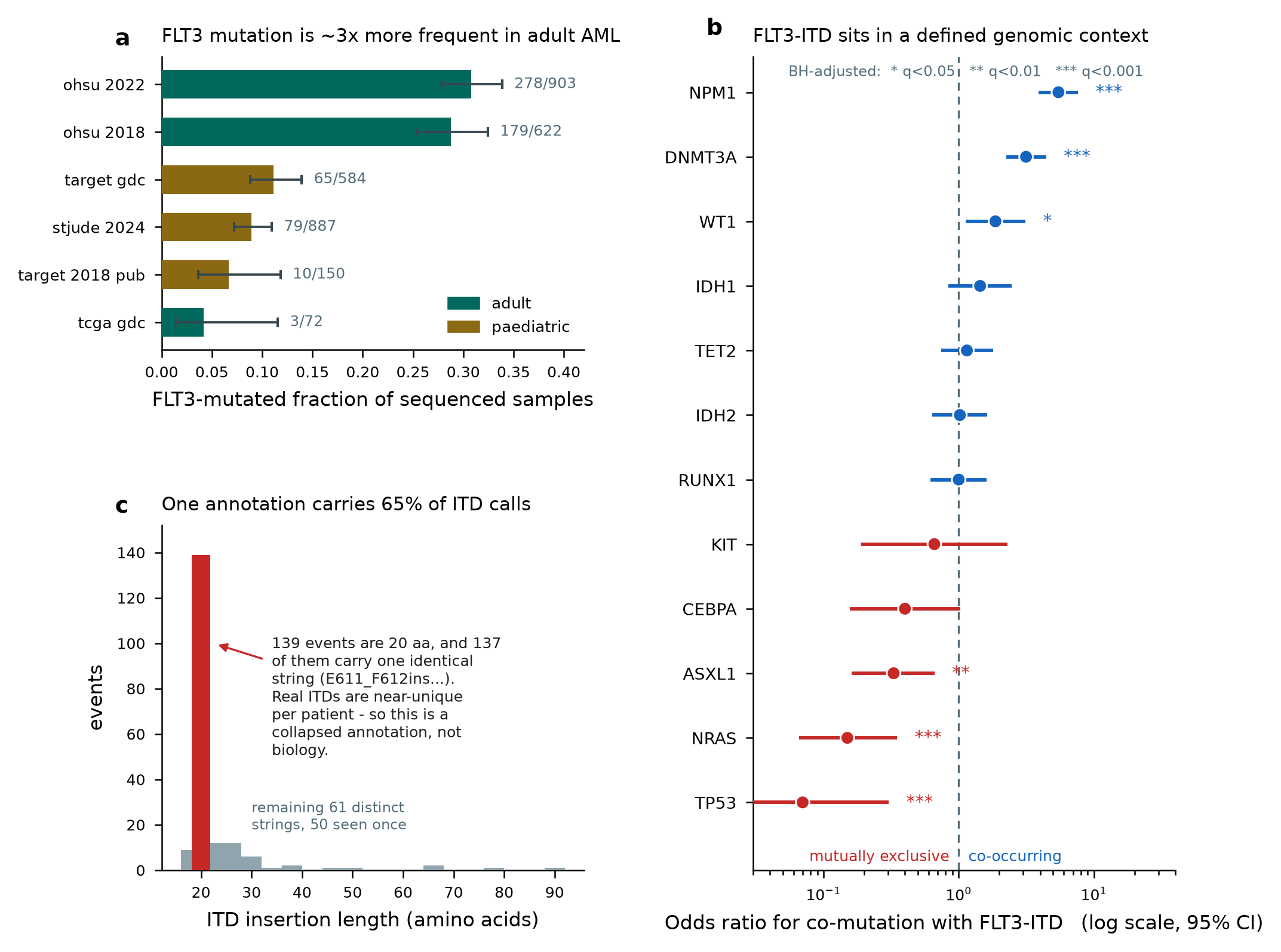 FLT3 alteration and co-mutation landscape in AML